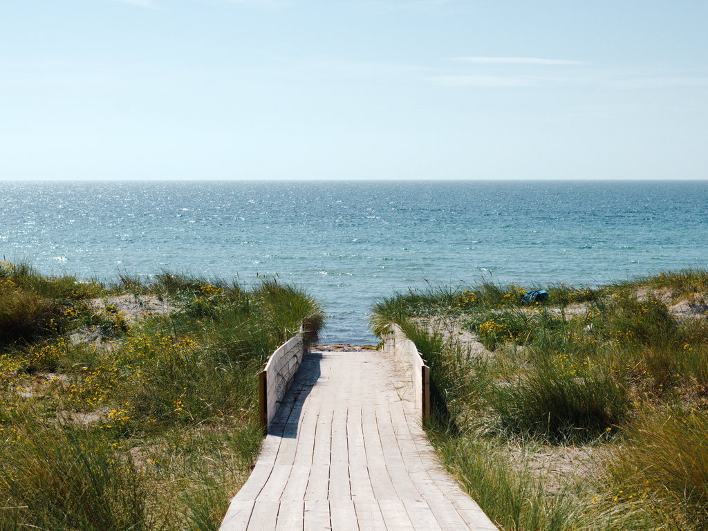 Wooden path way from greenery to the sea