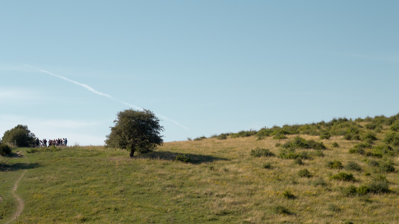 Group hanging out on top of hill